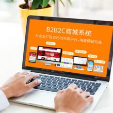 B2B2C电商平台 